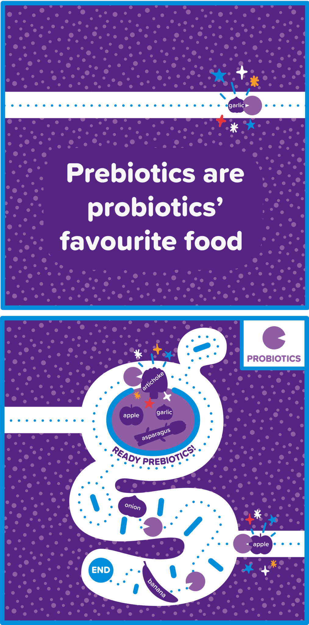 Benefits Of Prebiotics And Probiotics - Genius Gut Health